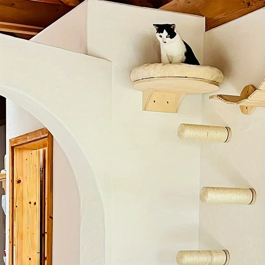 Wall Mounted Climbing Ladder